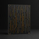 Data Rain 12HP matte black and gold Eurorack blank panel concept