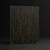 Data Rain 12HP matte black and gold Eurorack blank panel concept
